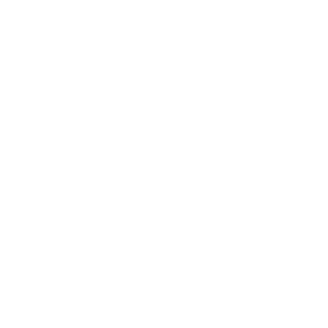 Truss MX